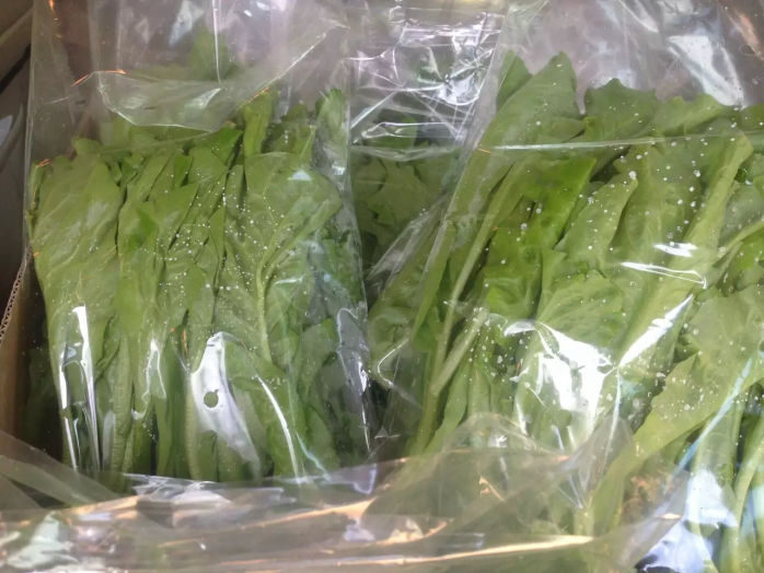 High Iron Vegetable