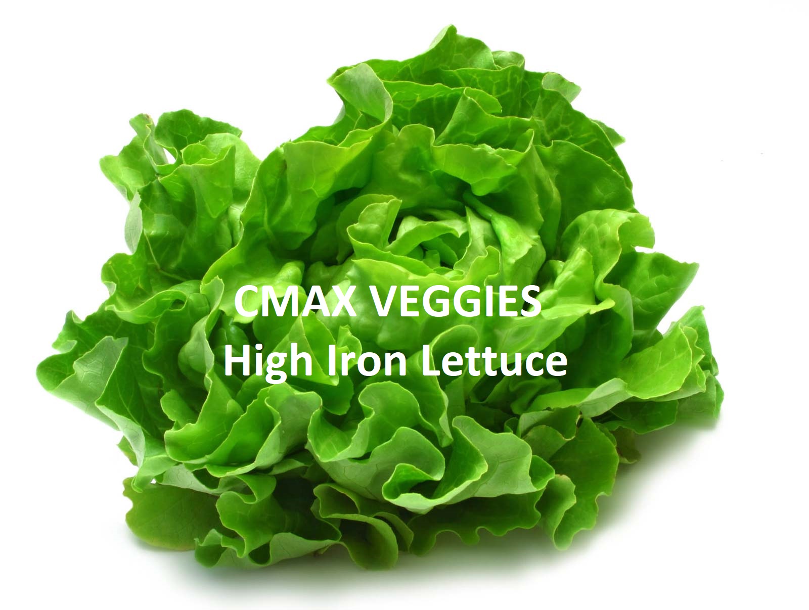 High Iron Lettuce